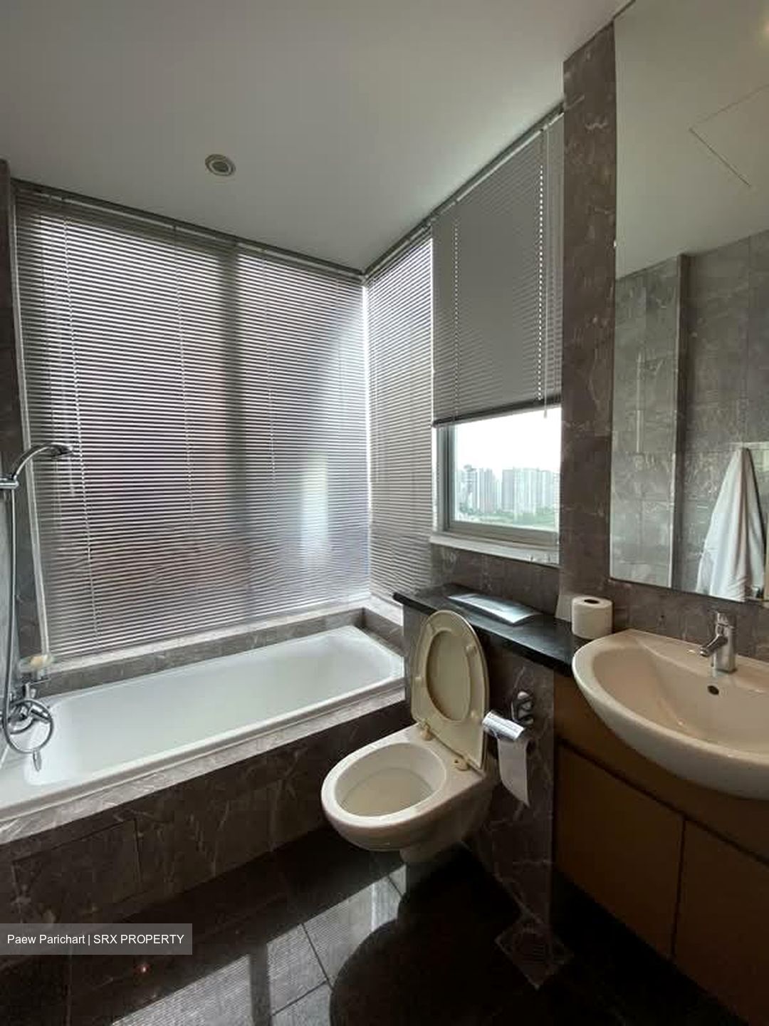 Draycott Eight (D10), Condominium #580298061